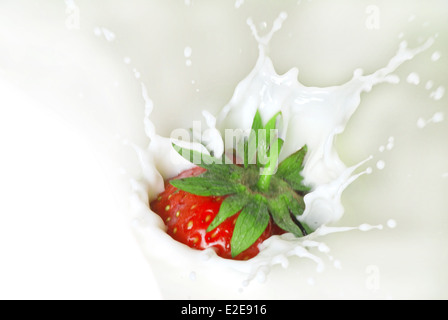 Fragole fresche gettato la crema bianca Foto Stock