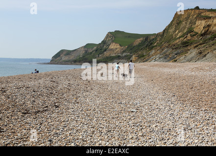 Cane di camminare sulla spiaggia presso il piccolo villaggio di eype su dorset la Jurassic Coast Foto Stock