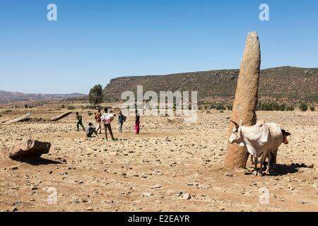 Etiopia, Tigray, Axoum, mucca e i bambini nella stele Gudit campo, elencato come patrimonio mondiale dall' UNESCO Foto Stock