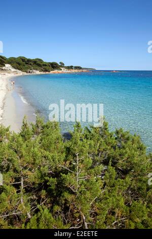 Francia, Corse du Sud (2A), Porto Vecchio, la spiaggia di Palombaggia Foto Stock