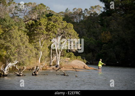Australia, Australia occidentale, Albany, Kalgan fiume. Tipica vista sulla foresta lungo il fiume Kalgan, uomo di pesca. Foto Stock