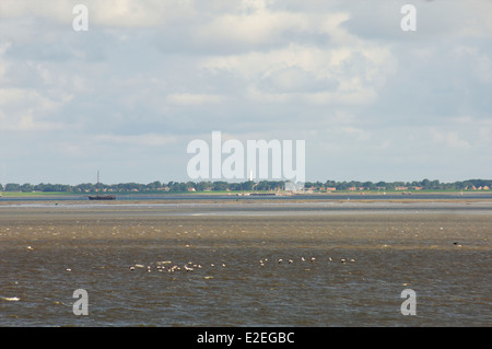 Gli uccelli volando a bassa quota sopra il mare di Wadden con l'isola di Schiermonnikoog in background, Frisia, Paesi Bassi Foto Stock