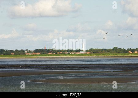 La bassa marea nel mare di Wadden con una vista di due fari sull isola di Schiermonnikoog, Frisia, Paesi Bassi Foto Stock