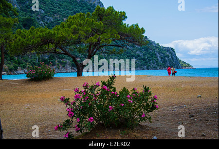 İztuzu spiaggia , Dalyan, Turchia. Foto Stock