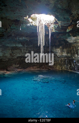 Cenote Dzitnup Valladolid Yucatan Messico Foto Stock