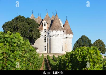 Francia, Dordogne, Perigord Pourpre, Monbazillac, il castello e i vigneti Foto Stock