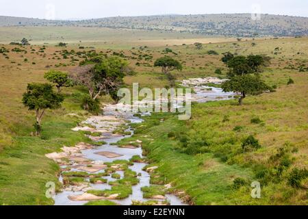 Kenya, Masai-Mara Game Reserve (vista aerea), sabbia fiume Foto Stock