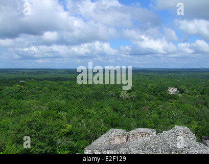 I resti di un tempio a Calakmul, Maya sito archeologico nello Stato messicano di Campeche Foto Stock