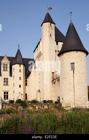 Francia, Indre et Loire, Lemere, Chateau de Rivau, facciata occidentale Foto Stock