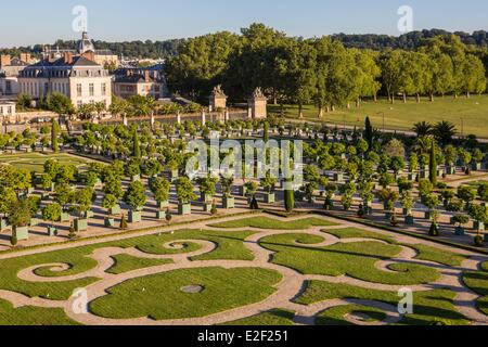 Francia, Yvelines, Chateau de Versailles, elencato come patrimonio mondiale dall' UNESCO, l'aranciera Foto Stock