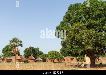 Il Burkina Faso, villaggio in area Senoufo Foto Stock