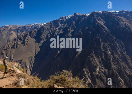 Il Perù, Dipartimento di Arequipa, il Canyon del Colca, il Condor's Cross (Cruz del Condor), il luogo per la visione di Condor Foto Stock