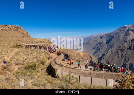 Il Perù, Dipartimento di Arequipa, il Canyon del Colca, il Condor's Cross (Cruz del Condor), il luogo per la visione di Condor Foto Stock