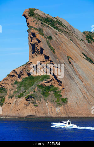 Francia, Bouches du Rhone, Calanques National Park, La Ciotat, l'Aquila Cap, Bec de l'Aigle, Cove Sec Foto Stock