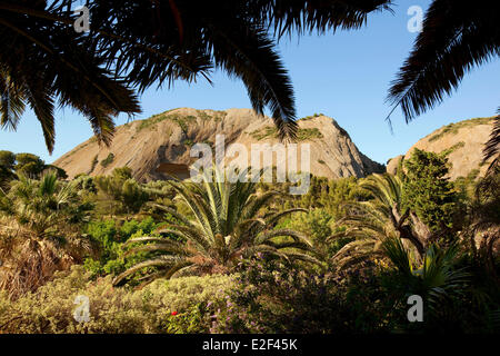 Francia, Bouches du Rhone, Calanques National Park, La Ciotat, Parco Mugel Foto Stock