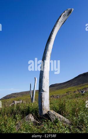Russia, Chukotka Distretto autonomo, Yttygran Isola, osso di balena vicolo, resti di ossa mandibolari delle balene grigie o balene Bowhead Foto Stock