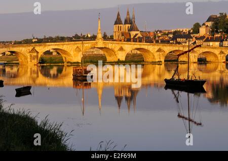 Francia Loir et Cher la Valle della Loira sono classificati come patrimonio mondiale dall' UNESCO Blois Pont Jacques Gabriel ponte sul fiume Loira e in Foto Stock