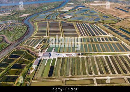 Francia, Charente Maritime, Saint Just Luzac, paludi (vista aerea) Foto Stock