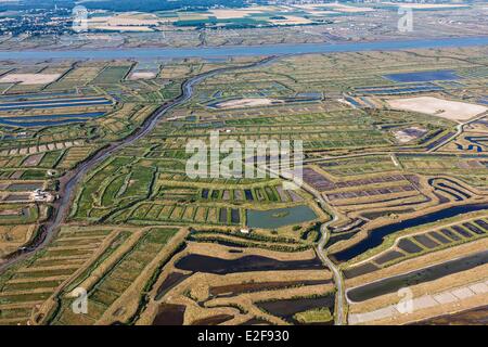 Francia, Charente Maritime, Saint Just Luzac, paludi e il fiume Seudre (vista aerea) Foto Stock