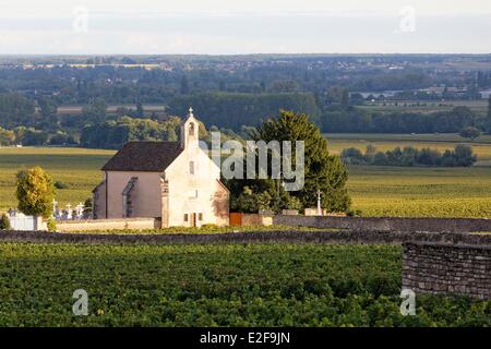 Francia, Cote d'Or, Volnay, Notre Dame de Pitie cappella, Cote de Beaune vigneto Foto Stock