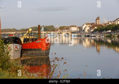 Francia, Cote d'Or, Saint Jean de Losne, Saone valley Foto Stock