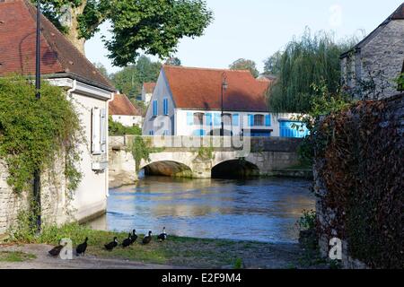 Francia, Cote d'Or, Beze, valle a Beze Foto Stock