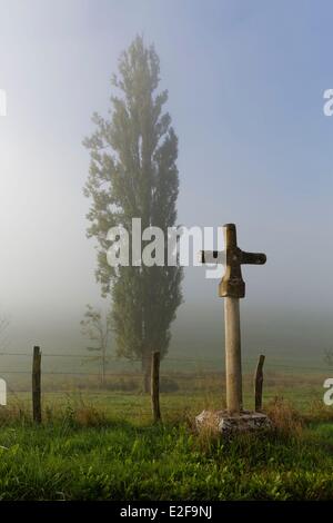 Francia, Cote d'Or, croce lungo il tragitto e albero Foto Stock