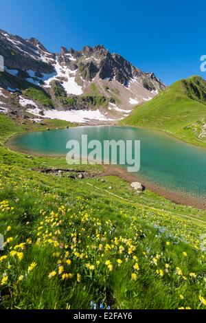 Francia, Savoie, massiccio del Beaufortain, escursionismo al Col du Coin e il lago Amour, il lago Amour (2248m) Foto Stock