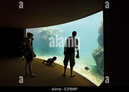 Francia, isola di Reunion (dipartimento francese d' oltremare), Saint Leu, Kelonia, vista orizzontale di una famiglia di un acquario Foto Stock