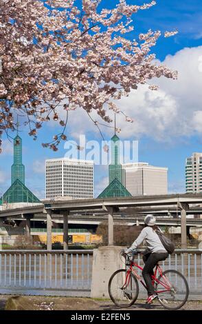 Stati Uniti Portland Oregon governatore Tom McCall Waterfront Park parco ha aperto nel 1978 sulle rive del fiume Willamette Foto Stock