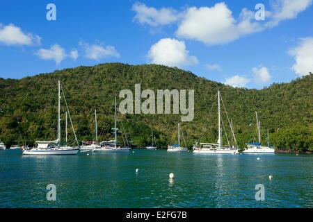 Indie Occidentali dei Caraibi, le Isole del Vento, Saint Lucia, Isola del nord, Castries distretto, Marigot Bay Foto Stock