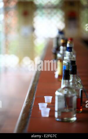 Indie occidentali Isole dei Caraibi del vento Saint Lucia North Island Castries District distillerie du Roseau RHUM RUM degustazione Foto Stock