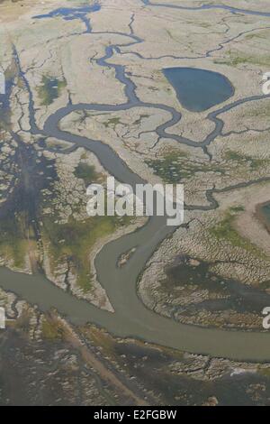 Francia, Somme, Baie de Somme, canali in Salt Marshes (vista aerea) Foto Stock