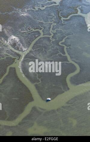 Francia, Somme, Baie de Somme, canali in Salt Marshes (vista aerea) Foto Stock