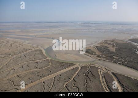 Francia, Somme, Baie de Somme, canali in Salt Marshes (vista aerea) Foto Stock