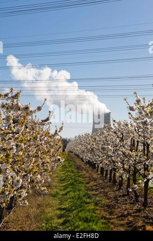 Francia, Tarn et Garonne, Golfech, centrale nucleare Foto Stock