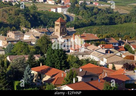 Francia, Rhone, Salles Arbuissonnas en Beaujolais, Beaujolais vigneto Foto Stock