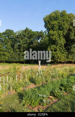 Francia, Seine et Marne, Vernou la Celle sur Seine, Graville castello, giardino vegetale Foto Stock