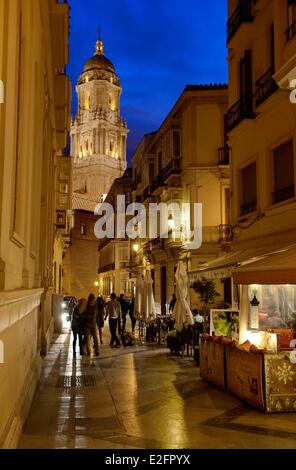 Spagna Andalusia Costa del sol malaga cattedrale Basφlica Catedral de la Encarnacion visto dalla Calle San Augustin Foto Stock