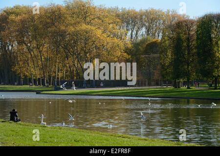 Francia Yvelines parco del Chateau de Versailles elencati come patrimonio mondiale dall' UNESCO il Grand Canal Foto Stock