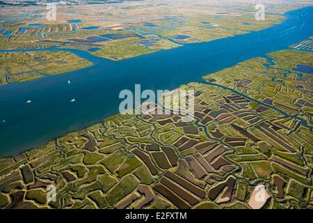 Francia Charente Maritime La Tremblade paludi vicino al fiume Seudre (vista aerea) Foto Stock