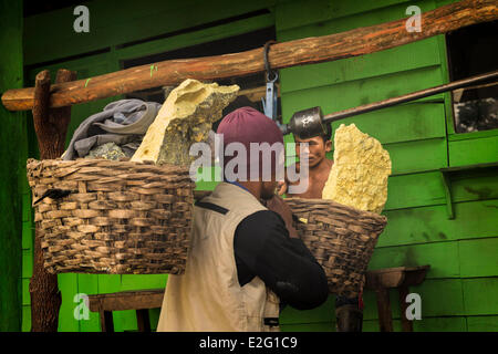 Indonesia Java Kawah Ijen lavoratori delle miniere del peso dello zolfo Foto Stock