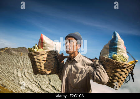 Indonesia Java Kawah Ijen minatore portano carichi pesanti di zolfo in un cestello Foto Stock