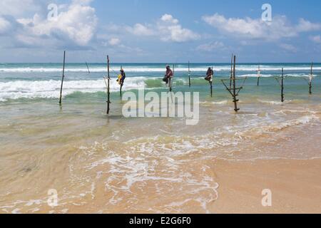 Sri Lanka provincia meridionale del distretto di Galle Ahangama stilt pescatori Foto Stock