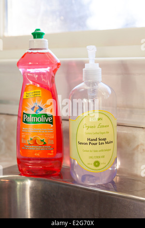 Detergente per stoviglie a mano e seduta di sapone sul contatore in una cucina. In Ontario, Canada. Foto Stock