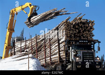 Canada Provincia del Quebec Saguenay Lac Saint Jean knuckleboom registro di carico del caricatore a quasi un migliaio di registri su un enorme di rimorchio Foto Stock