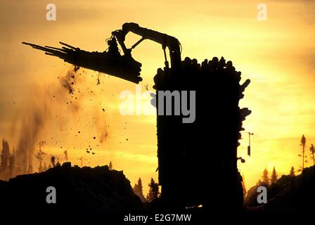 Canada Provincia del Quebec Saguenay Lac Saint Jean log knuckleboom loader il caricamento dei registri su un rimorchio del camion planetari in sunset Foto Stock