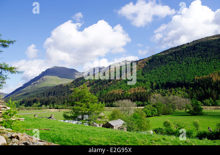 Pilastro montagna ( a sinistra ), Ennerdale, Lake District, Cumbria, England, Regno Unito Foto Stock