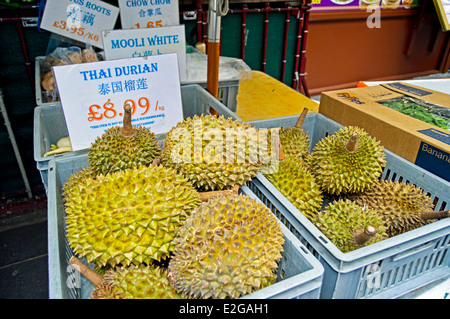 Visualizzazione di Durian tailandese in vendita, Chinatown, West End, la City of Westminster, Londra, Inghilterra, Regno Unito Foto Stock