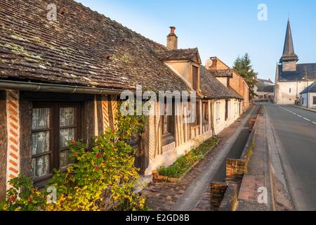 Francia Loiret regione Sologne Ligny Le Ribault tipica architettura di Sologne utilizzando mattoni e travi di legno Foto Stock